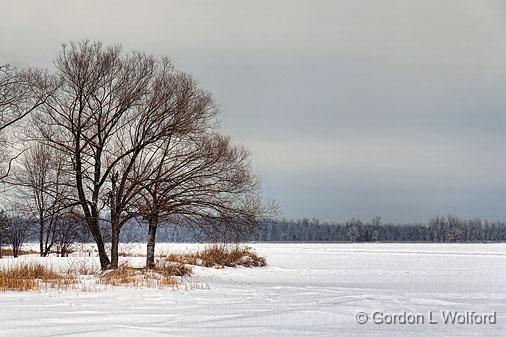 Frozen Lower Rideau Lake_21240.jpg - Photographed at Rideau Ferry, Ontario, Canada.